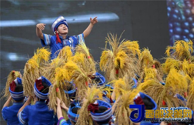 1510110229139181.jpg 6.jpg