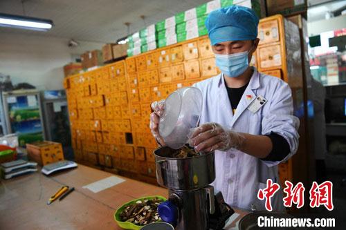 疫情發(fā)生以來，甘肅確保所有病例盡早、及時、全程使用中醫(yī)中藥，努力做到“一患一方案”。(資料圖) 楊艷敏 攝