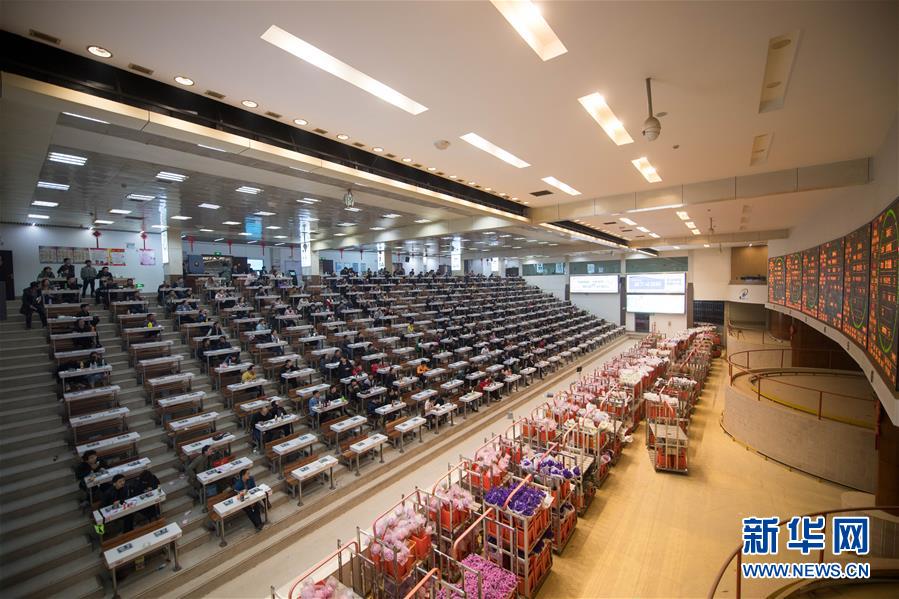 (新華全媒頭條·走向我們的小康生活·圖文互動)(9)綠染云嶺小康路——生態(tài)文明建設(shè)的云南實踐