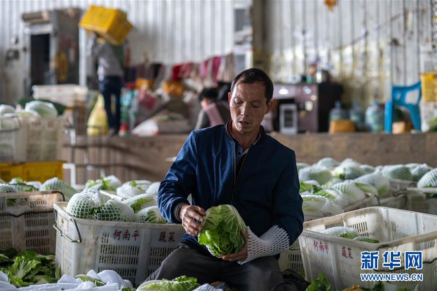 (新華全媒頭條·走向我們的小康生活·圖文互動)(12)綠染云嶺小康路——生態(tài)文明建設(shè)的云南實踐