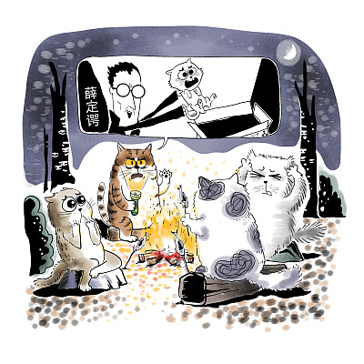 ▲物理學(xué)家薛定諤曾用一只貓比喻量子疊加。圖片來源：視覺中國